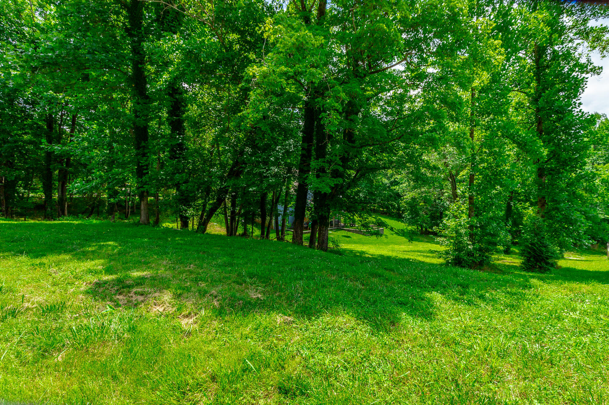 3741 Prospect Church Road Ooltewah, TN 37363 - Photo 116 of 121 3741 Prospect Church Road HD-45