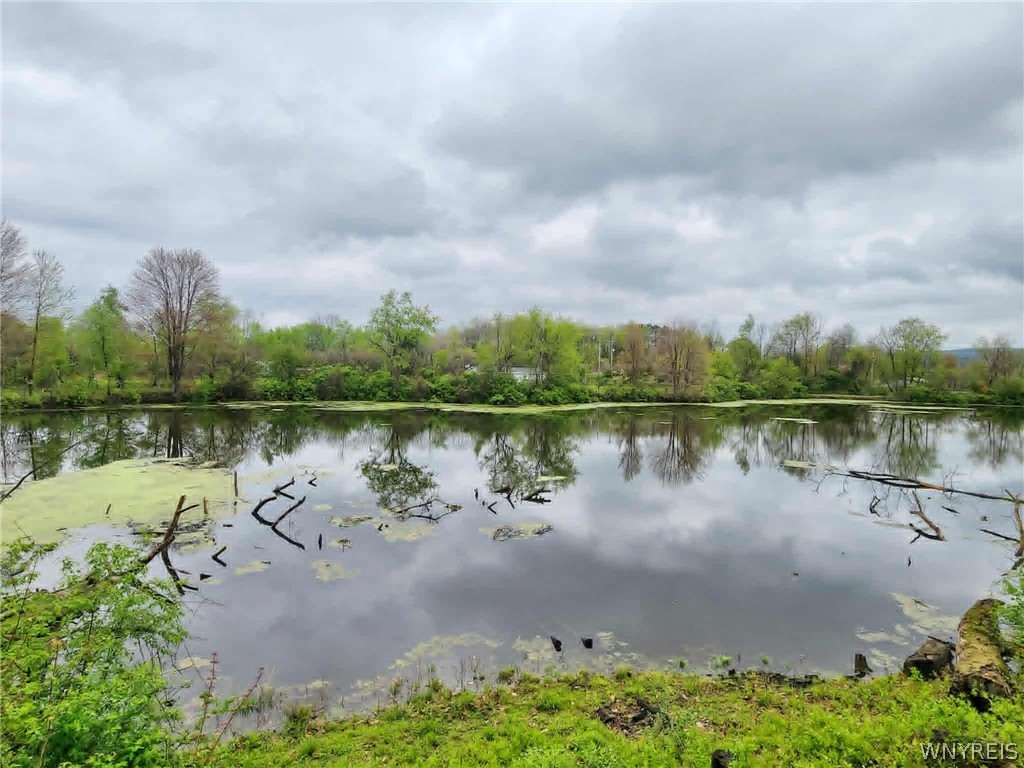 5064 Gleason Hill Road Belfast, NY 14711 - Photo 44 of 47