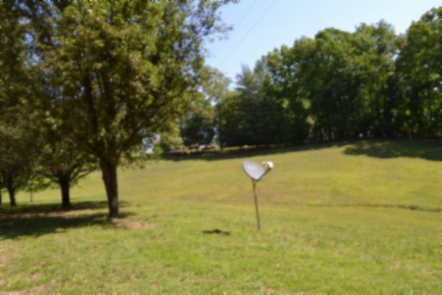 318 Rock Springs Road Celina, TN 38551 - Photo 30 of 87 a view of a yard with a tree