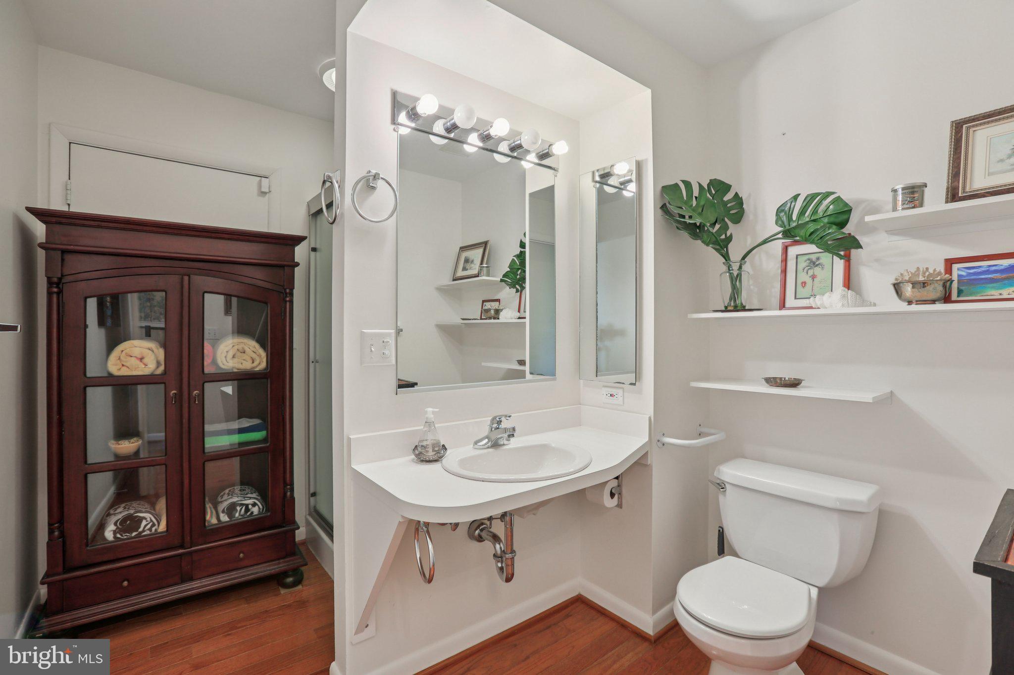10968 Swansfield Road Columbia, MD 21044 - Photo 43 of 57 a bathroom with a toilet a sink and a mirror