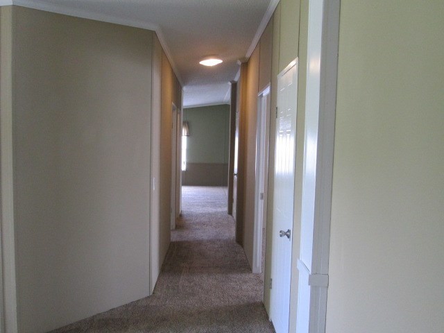 676 Coogle Road Ellaville, GA 31806 - Photo 9 of 34 Additional Photo