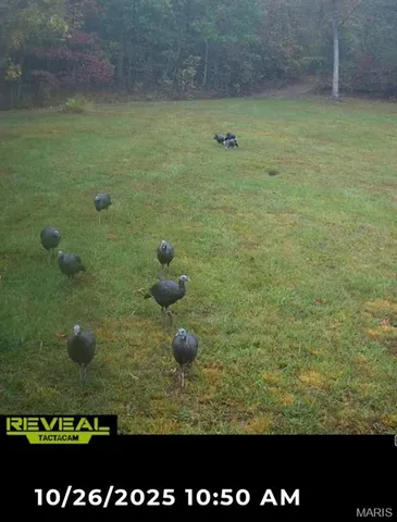 $167,000 | 0 Lori Lane, Ironton, MO 63650