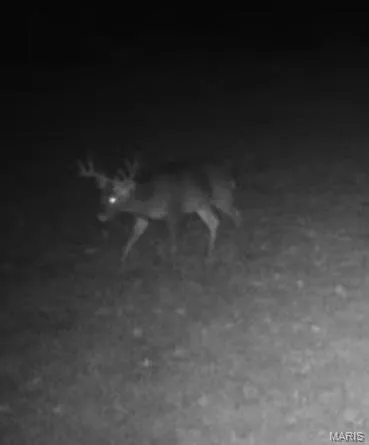 $167,000 | 0 Lori Lane, Ironton, MO 63650