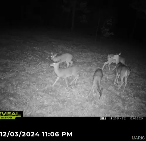 $167,000 | 0 Lori Lane, Ironton, MO 63650