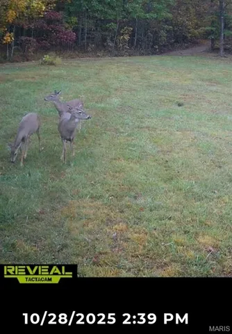 $167,000 | 0 Lori Lane, Ironton, MO 63650