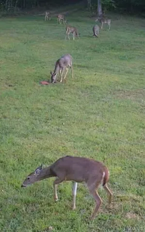 $167,000 | 0 Lori Lane, Ironton, MO 63650