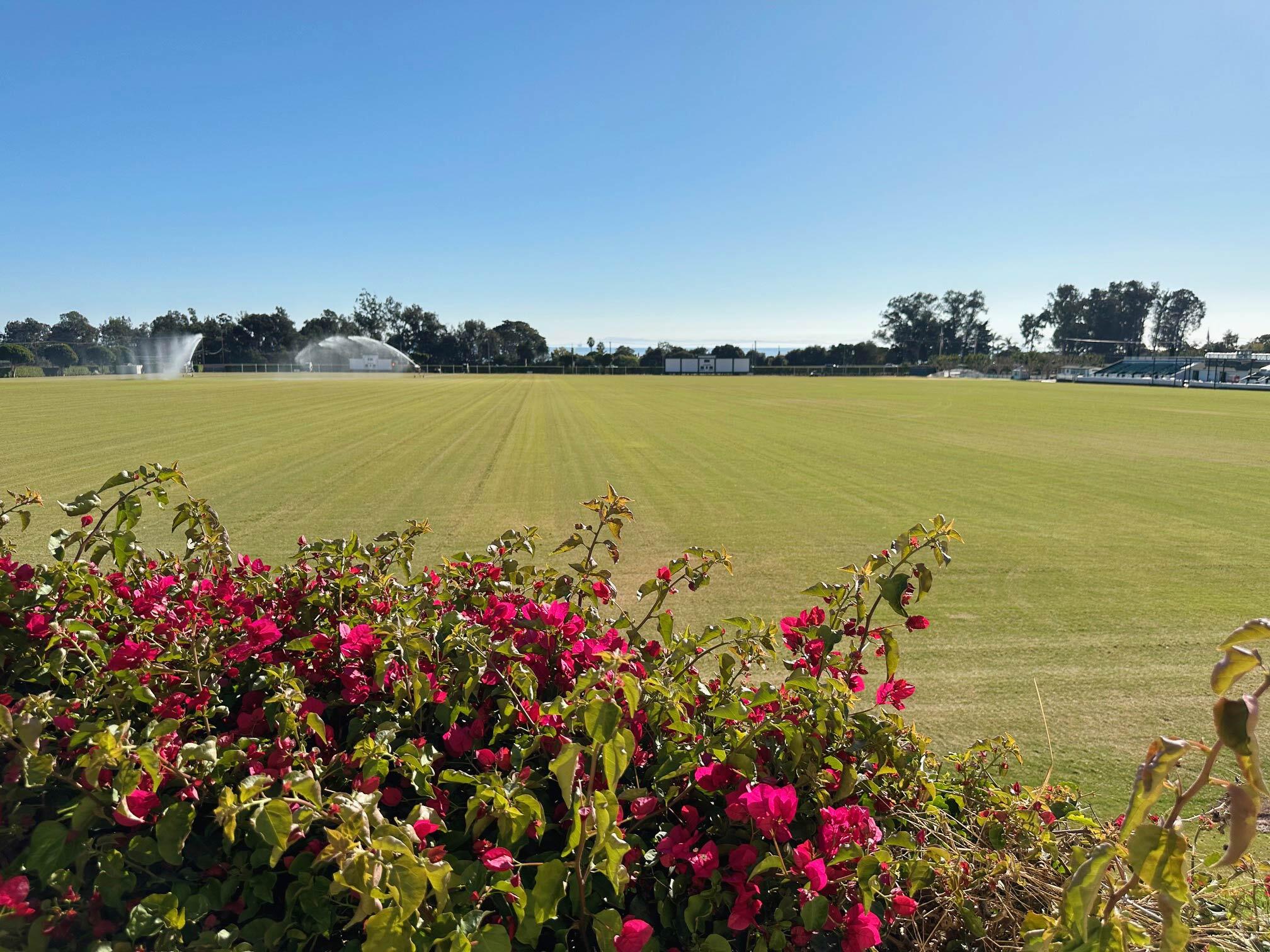 3375 Foothill Road, Unit 514 Carpinteria, CA 93013 - Photo 22 of 24 a bunch of flowers in the water next to a building