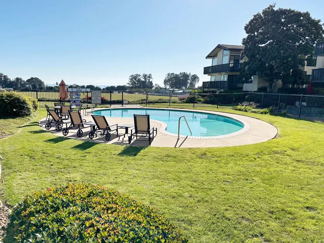 a view of a swimming pool with a bench and trees in the background