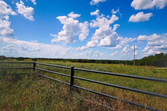 a view of a yard with wooden fence