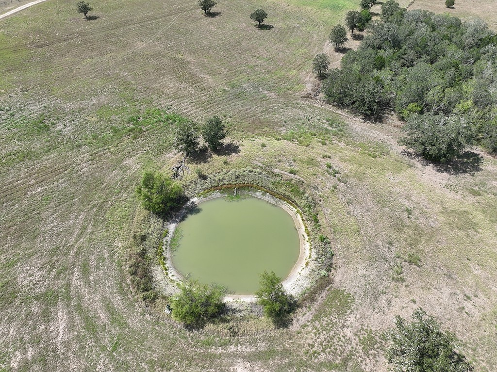 4810 Burke Road Flatonia, TX 78941 - Photo 4 of 18 a view of outdoor space and tree