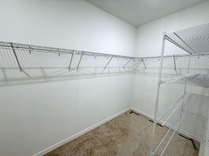 30104 Misty Pnes Road Mount Dora, FL 32757 - Photo 26 of 40