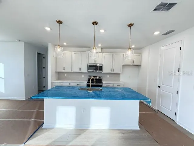 $459,990 | 30104 Misty Pnes Road, Mount Dora, FL 32757