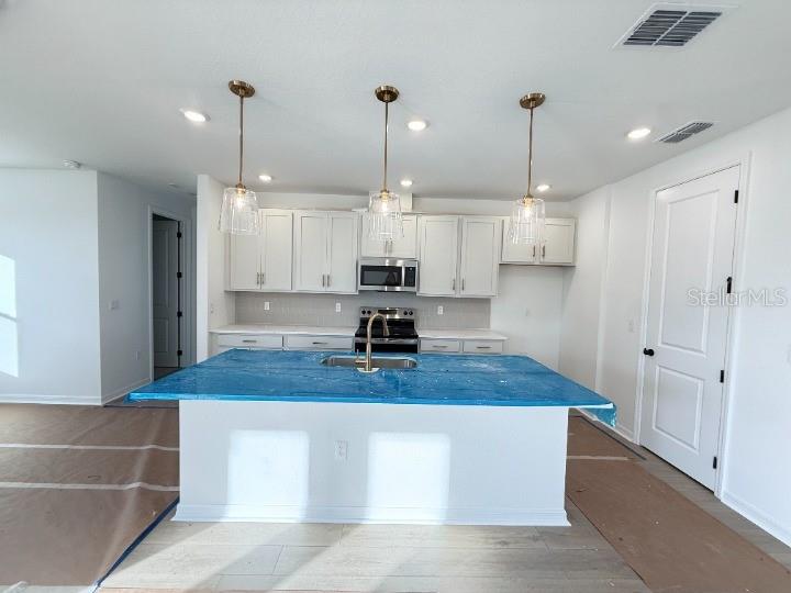 30104 Misty Pnes Road Mount Dora, FL 32757 - Photo 10 of 40