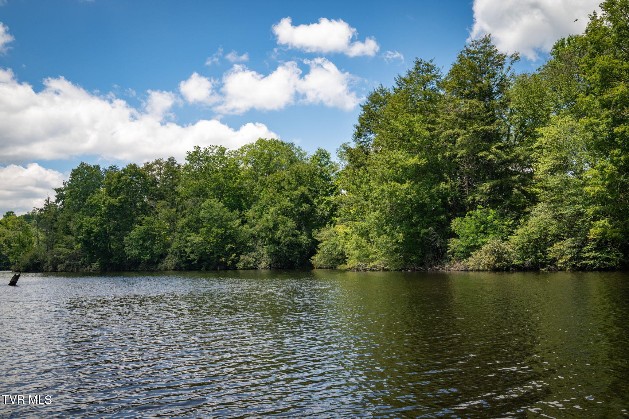 1776 Ripshin Mountain Road, Unit 56 Roan Mountain, TN 37687 - Photo 52 of 61 36-web-or-mls-EXT_5734