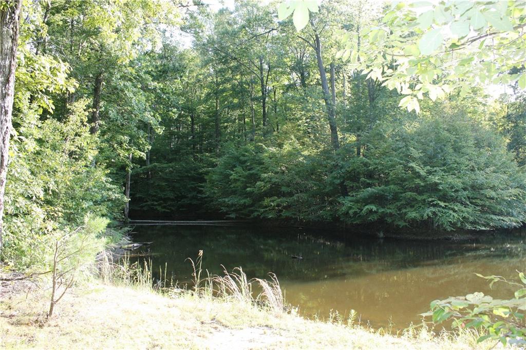9594 Buckskin Road Spencer, IN 47460 - Photo 29 of 33 Gallery Image 29