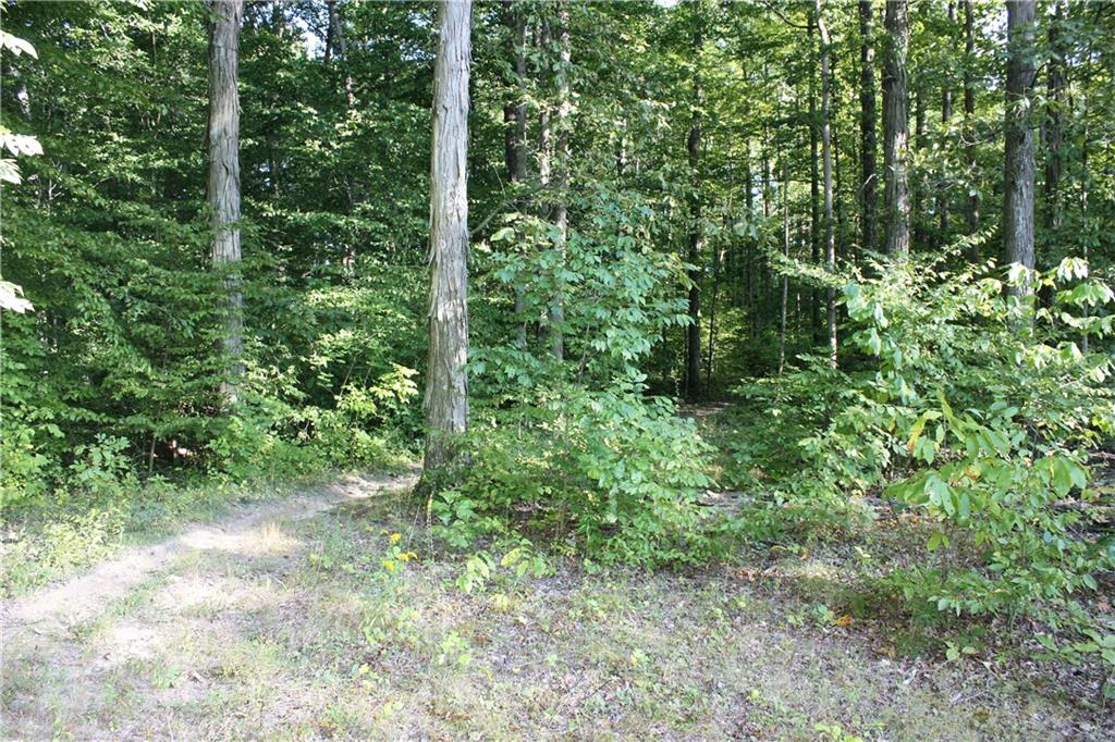 9594 Buckskin Road Spencer, IN 47460 - Photo 33 of 33 Gallery Image 33