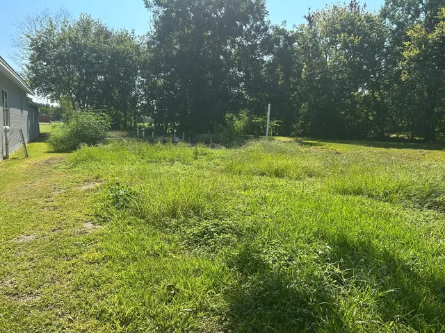 a backyard of a house with lots of green space and fountain