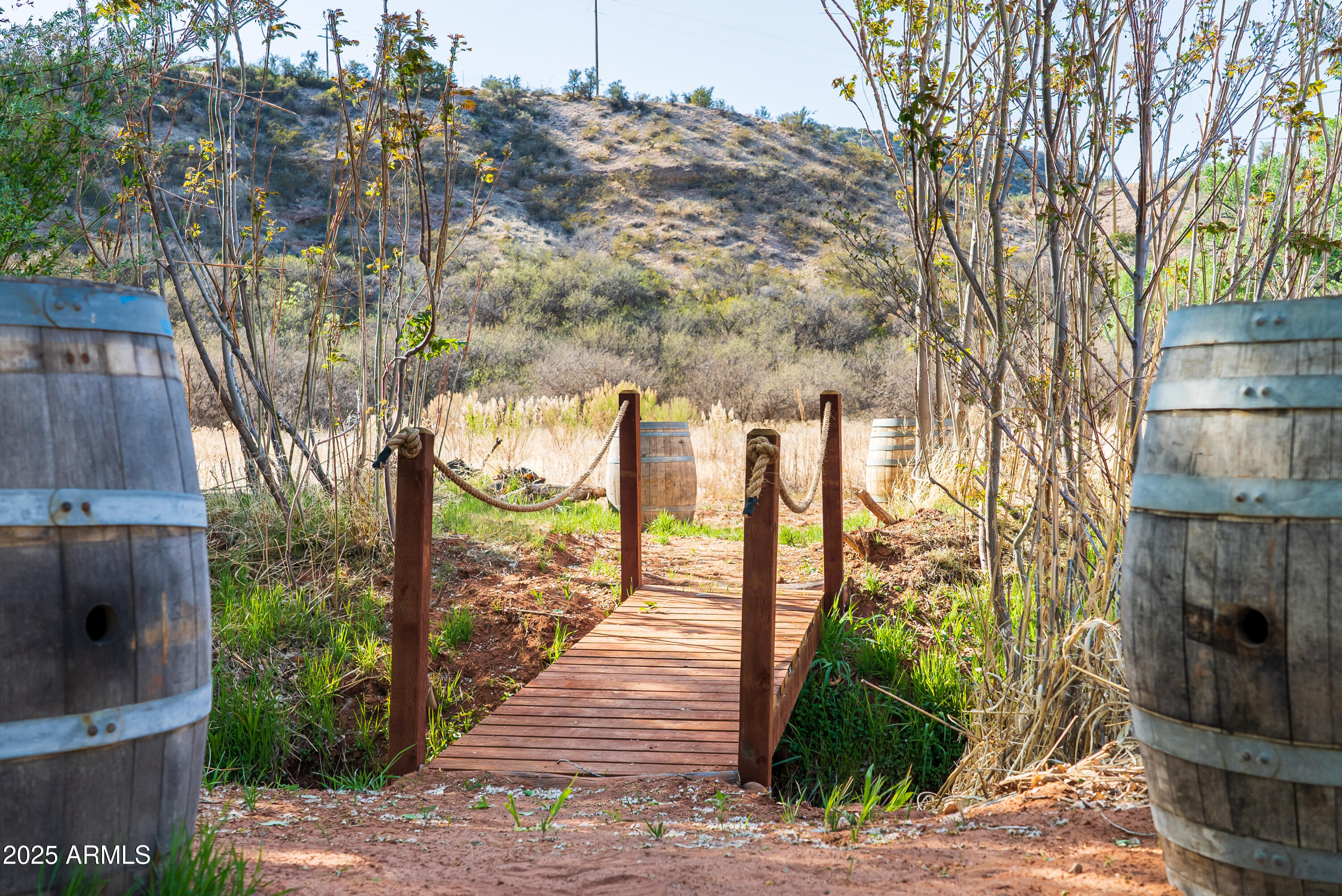 0 East Willow Point Road Cornville, AZ 86325 - Photo 4 of 16 a street view with large trees