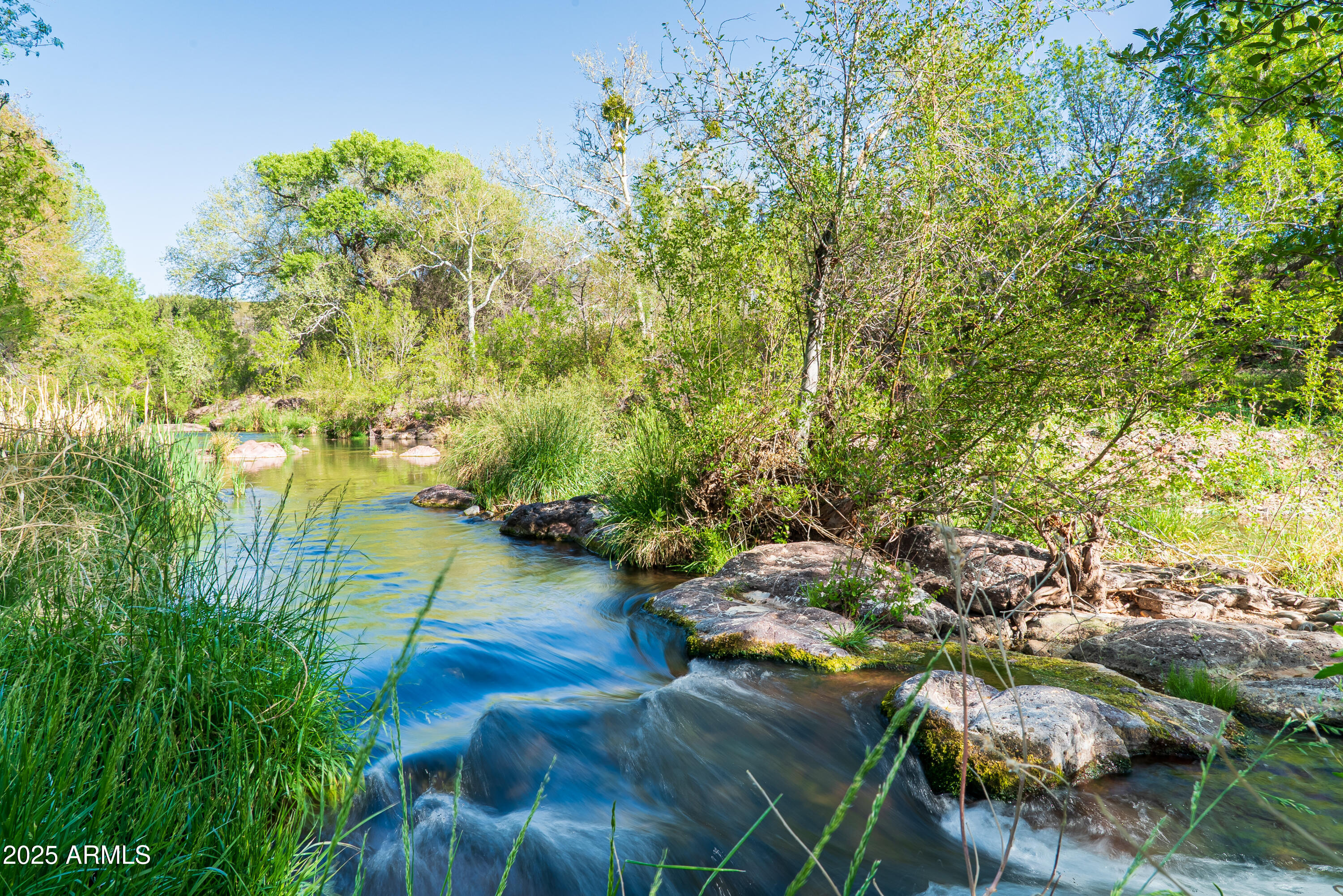 0 East Willow Point Road Cornville, AZ 86325 - Photo 5 of 16 a view of yard and green space