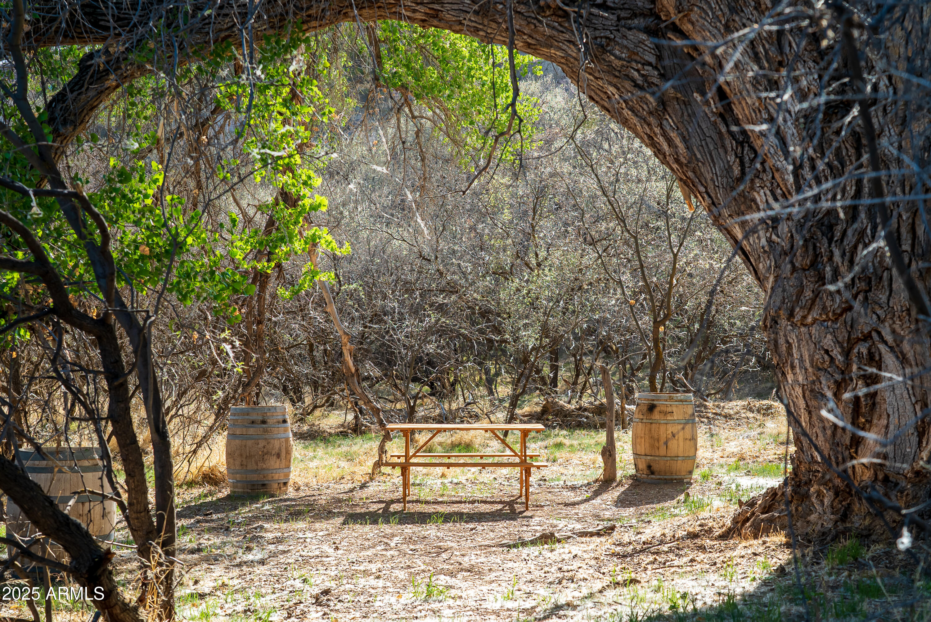 0 East Willow Point Road Cornville, AZ 86325 - Photo 6 of 16 a view of outdoor space
