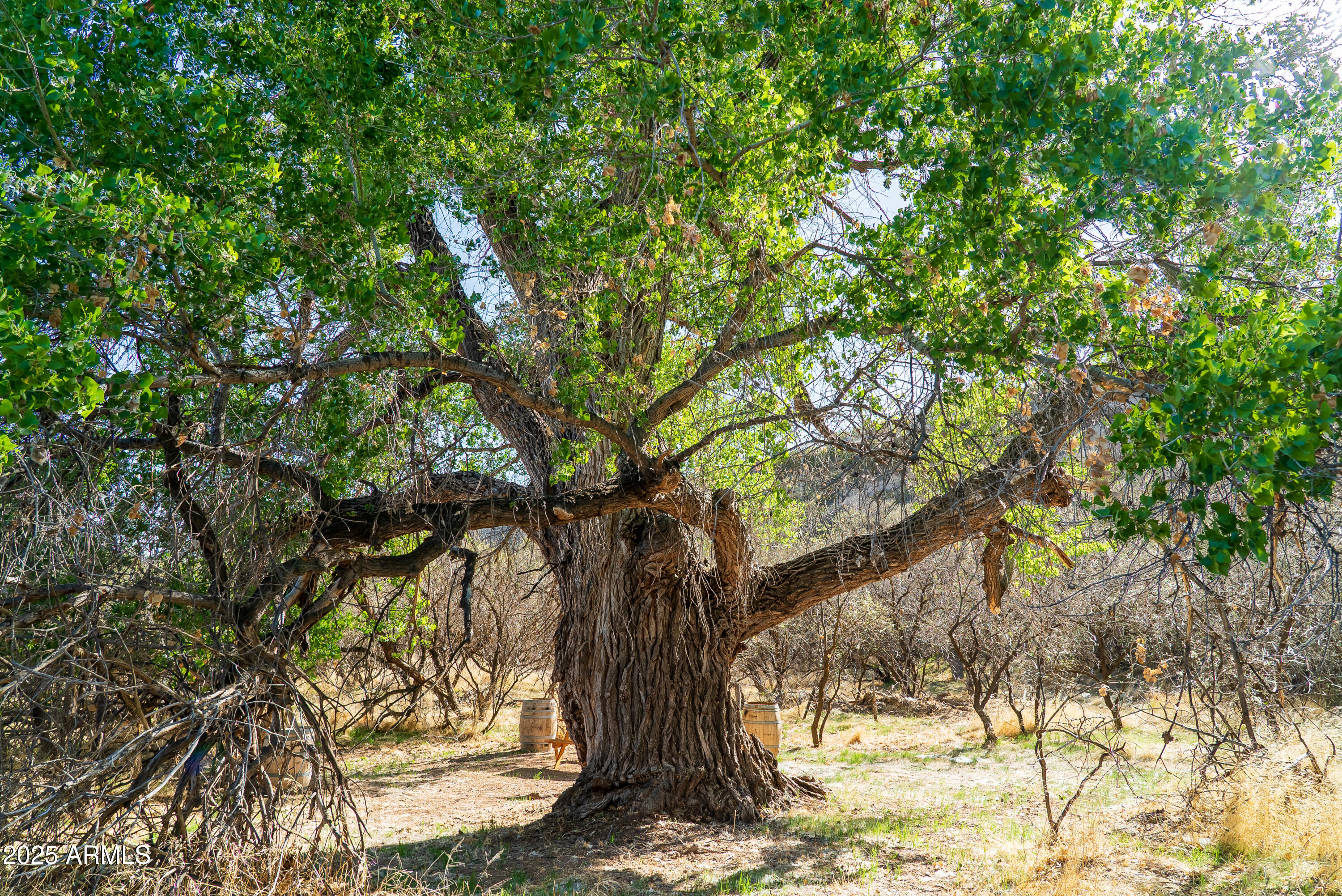 0 East Willow Point Road Cornville, AZ 86325 - Photo 7 of 16
