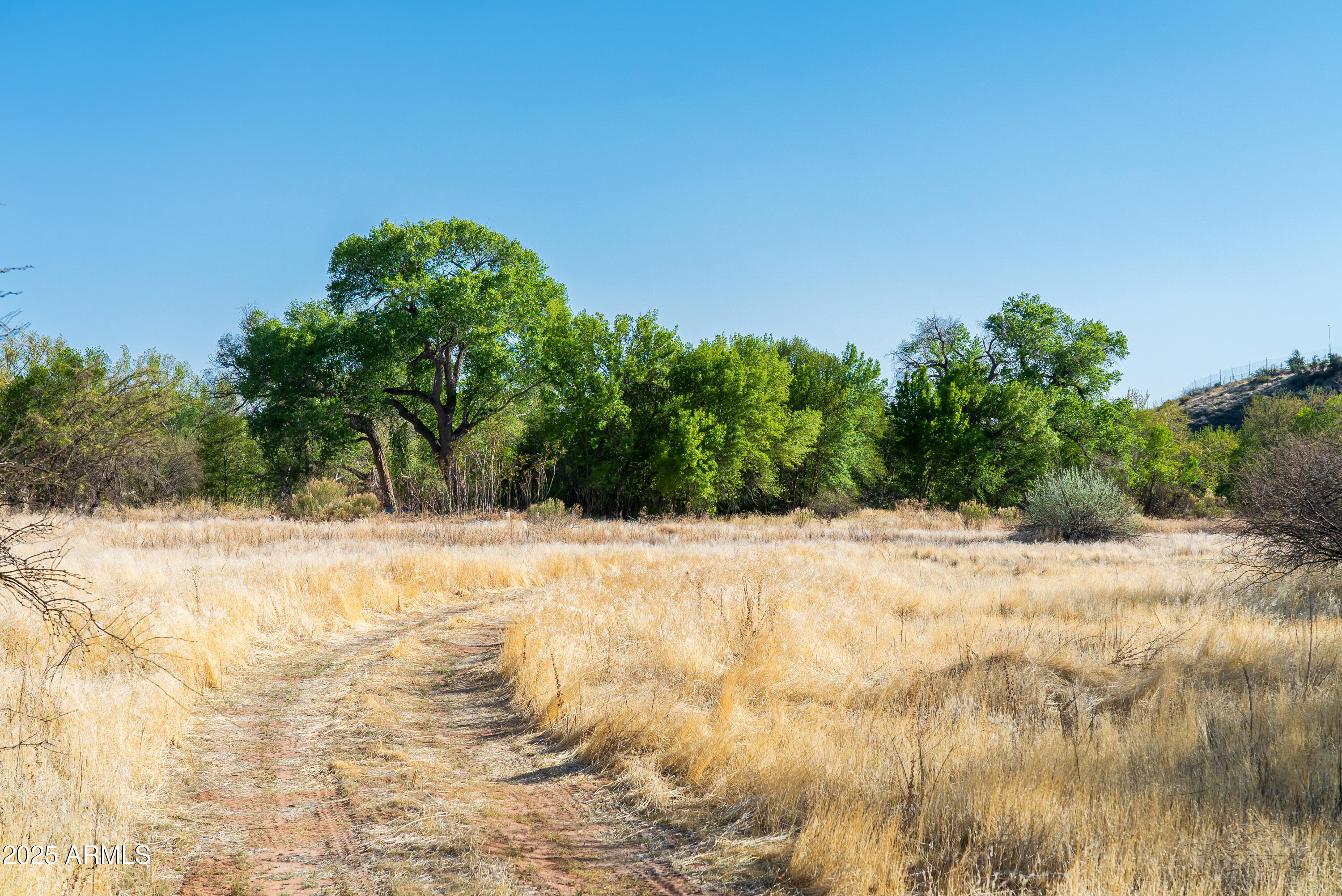 0 East Willow Point Road Cornville, AZ 86325 - Photo 10 of 16 a view of a yard and mountain