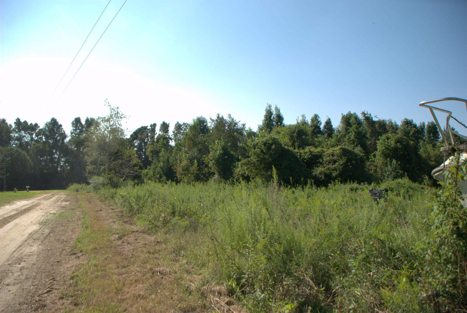 2040 Bentz Road Wadmalaw Island, SC 29487 - Photo 4 of 11 DSC_4363