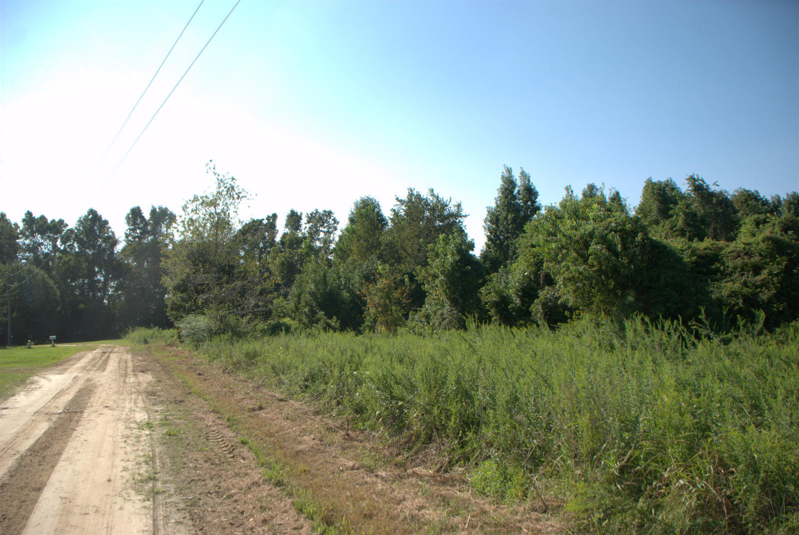 2040 Bentz Road Wadmalaw Island, SC 29487 - Photo 8 of 11 DSC_4367