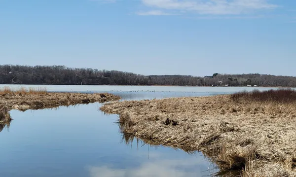 $150,000 | Tbd Tbd 513th Avenue, Staples, MN 56479