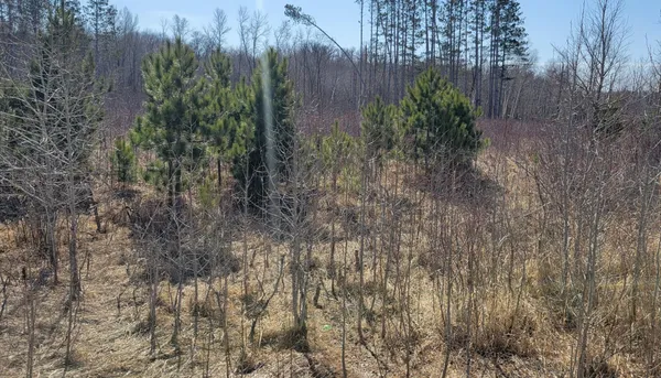 $150,000 | Tbd Tbd 513th Avenue, Staples, MN 56479