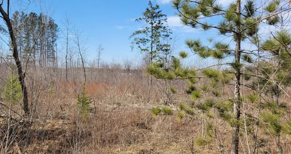 $150,000 | Tbd Tbd 513th Avenue, Staples, MN 56479