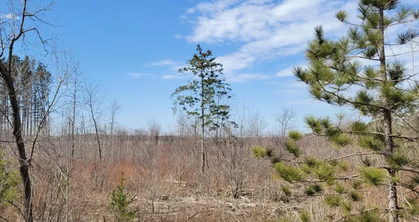 $150,000 | Tbd Tbd 513th Avenue, Staples, MN 56479
