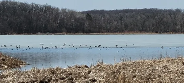 $150,000 | Tbd Tbd 513th Avenue, Staples, MN 56479