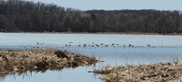 $150,000 | Tbd Tbd 513th Avenue, Staples, MN 56479