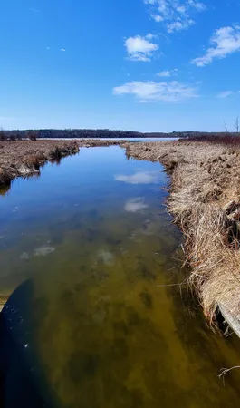 $150,000 | Tbd Tbd 513th Avenue, Staples, MN 56479