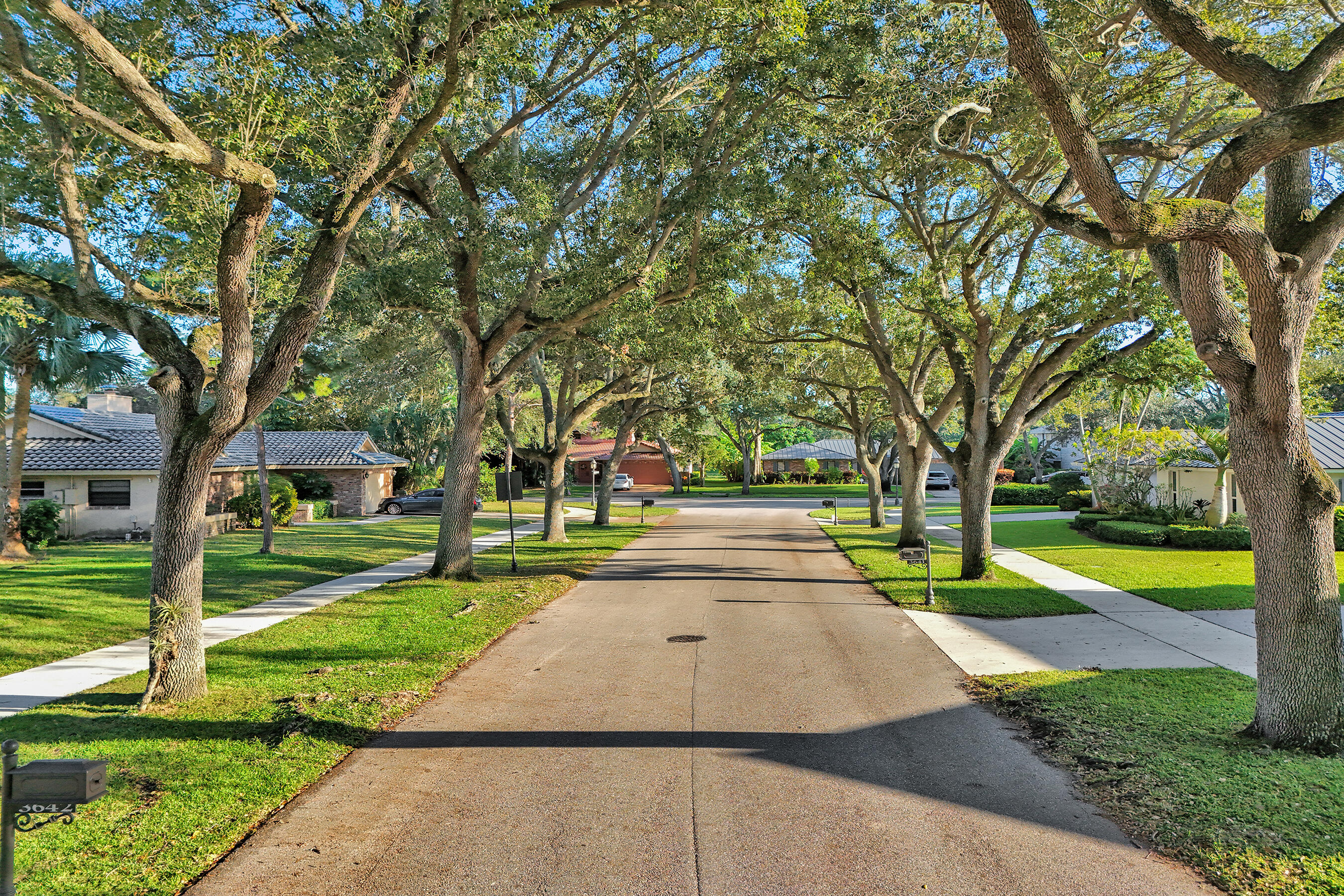 3681 Northwest 24th Terrace Boca Raton, FL 33431 - Photo 62 of 78 Tree-lined street