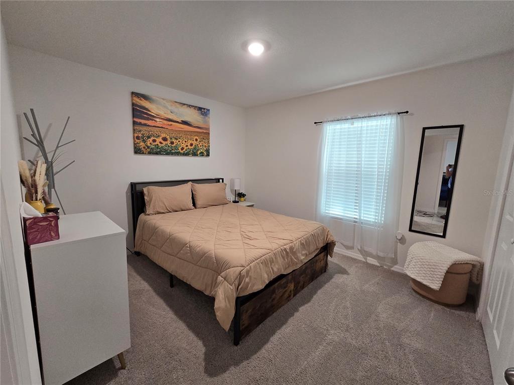 15271 Green Jay Road Weeki Wachee, FL 34614 - Photo 17 of 25