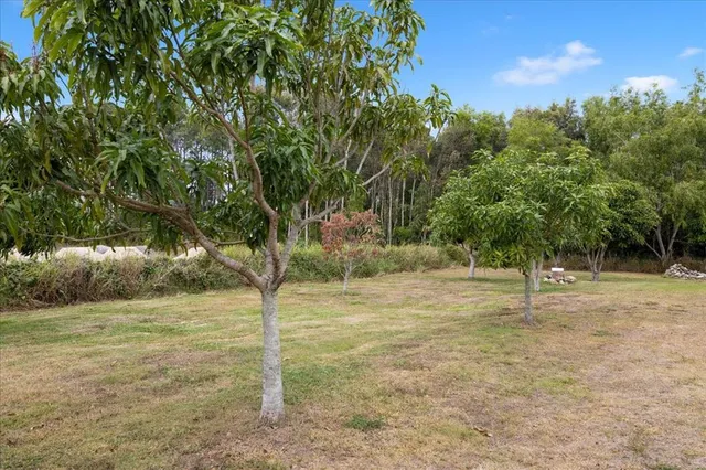 a view of a field with trees in the background