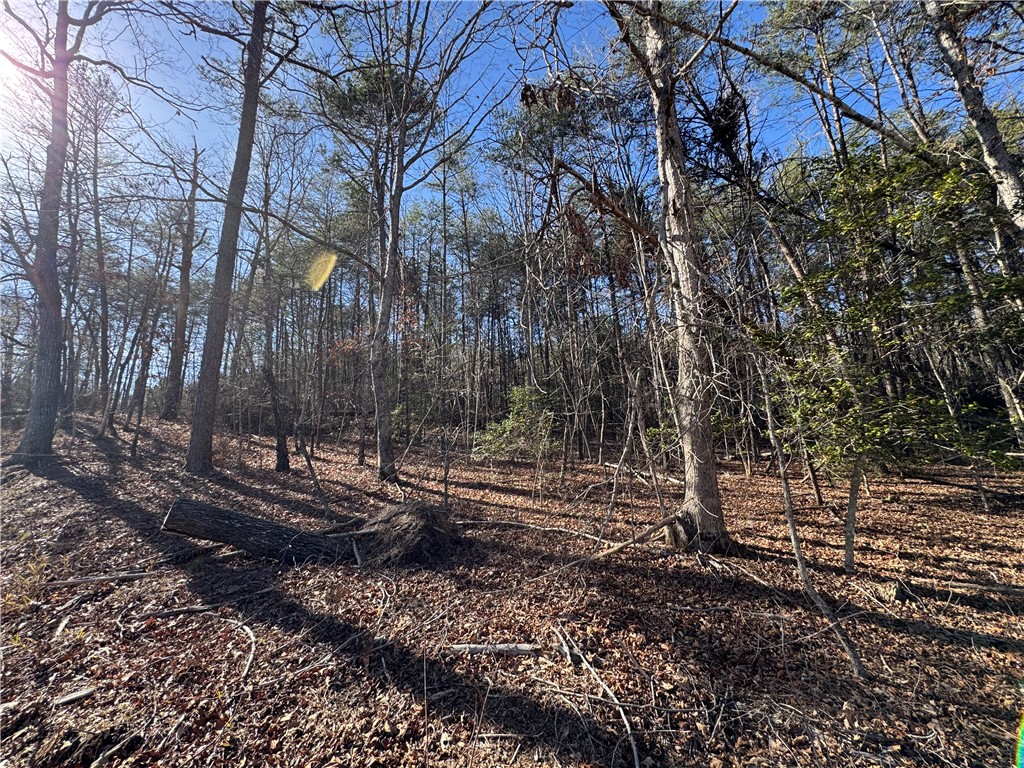 Tract B Old Unity Road Westminster, SC 29693 - Photo 12 of 12 This expansive, wooded property offers a serene natural setting.