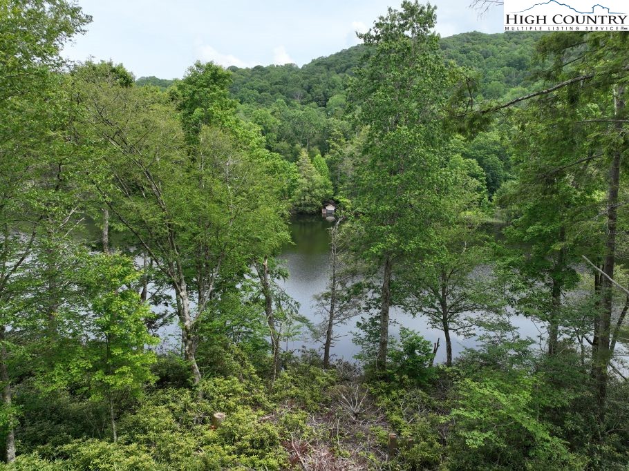 1776 Ripshin Mountain Road Roan Mountain, TN 37687 - Photo 13 of 30 an aerial view of a house with a yard