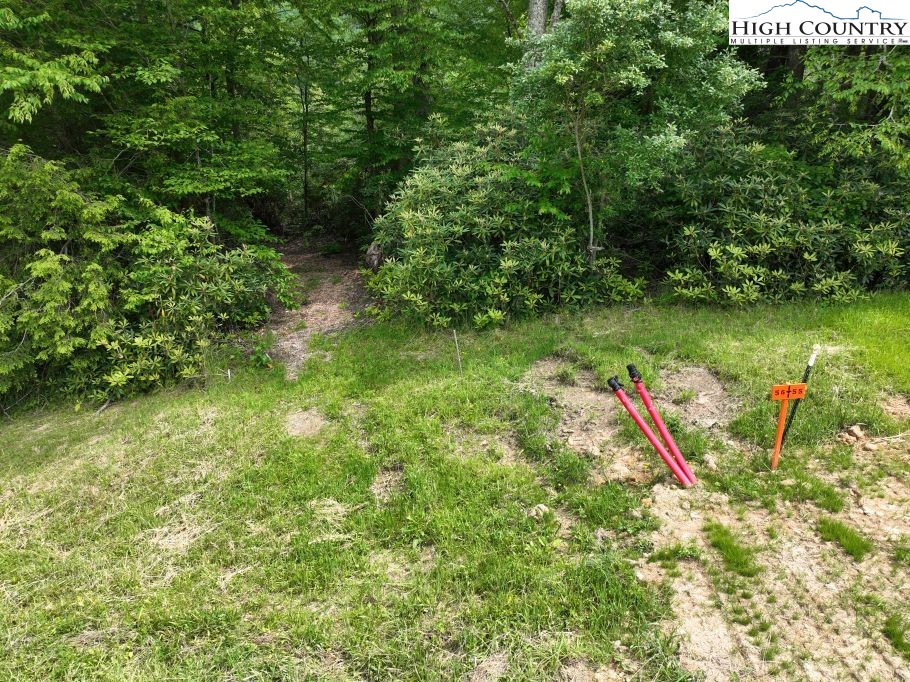 1776 Ripshin Mountain Road Roan Mountain, TN 37687 - Photo 15 of 30