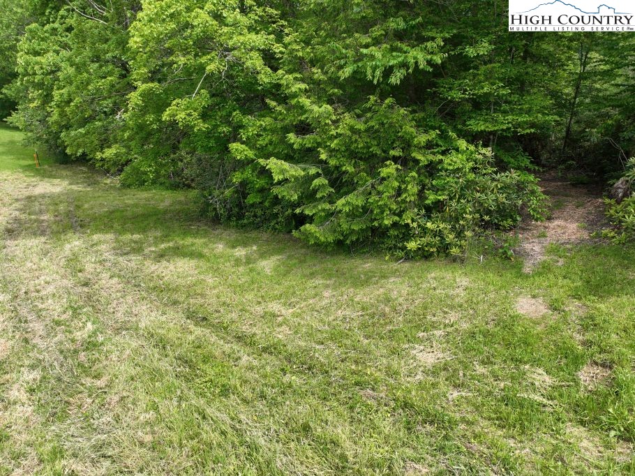 1776 Ripshin Mountain Road Roan Mountain, TN 37687 - Photo 18 of 30 a view of a yard with a tree
