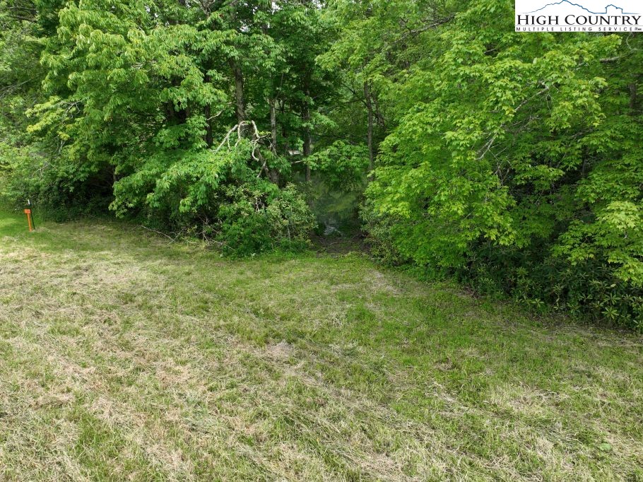 1776 Ripshin Mountain Road Roan Mountain, TN 37687 - Photo 19 of 30 a view of a yard with a tree