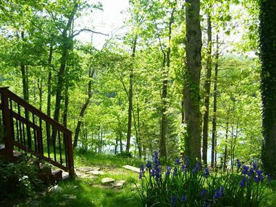 1853 Fount Hubbard Road London, KY 40741 - Photo 23 of 28 Photo 23