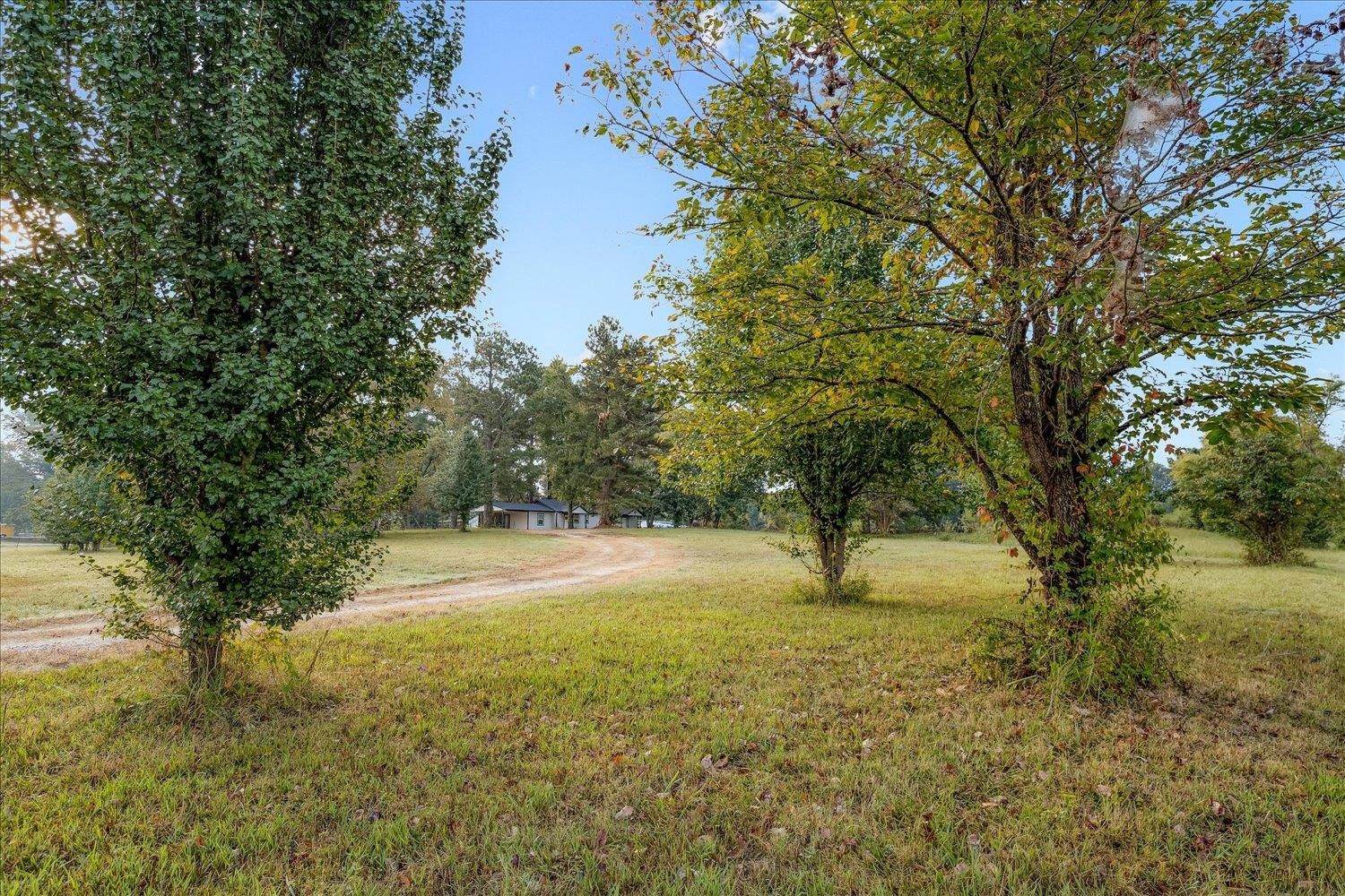 8371 McCalla Road Millington, TN 38053 - Photo 3 of 27 View of grassy yard