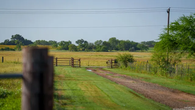 a view of a garden with an ocean