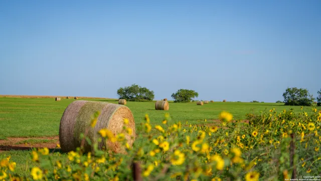 a view of house with backyard