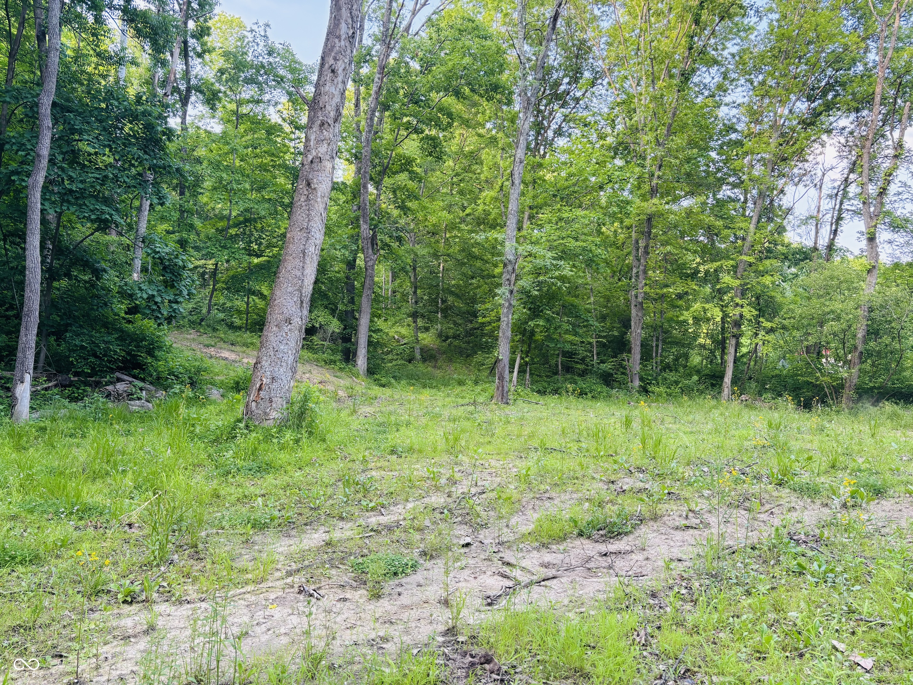 0 Laurel Road Laurel, IN 47024 - Photo 4 of 17