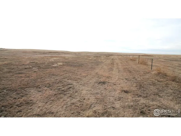 a open area with a yard