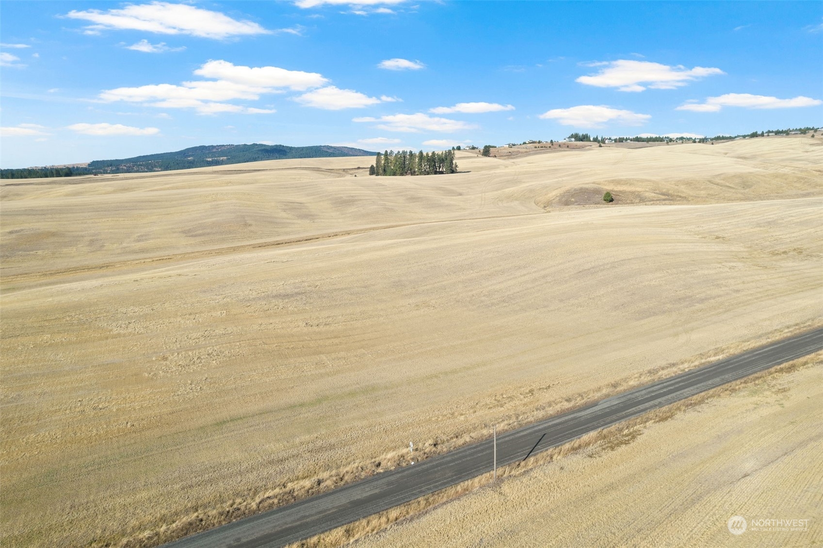 0 South Jackson Road Mica, WA 99023 - Photo 21 of 34